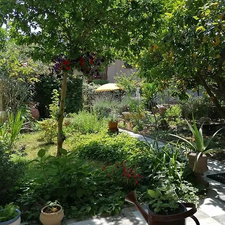 Guest house Eco Tower